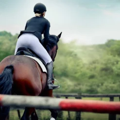 Dublin Ladies Edge Gel Full Seat Breeches (White) 7 Dublin Ladies Edge Gel Full Seat Breeches (White) -Dublin Sales 12450c