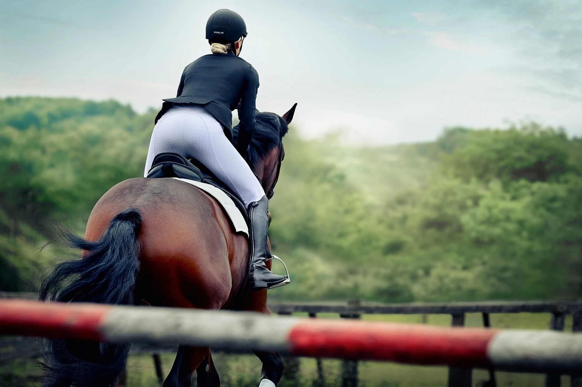 Dublin Ladies Edge Gel Full Seat Breeches (White) 5 Dublin Ladies Edge Gel Full Seat Breeches (White) - Image 3