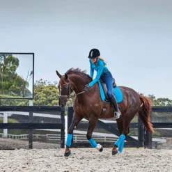 Dublin Ladies Kylee Long Sleeve Shirt II (Arctic Blue) -Dublin Sales 17089c