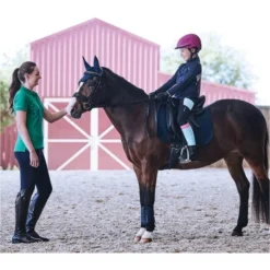 2022 Dublin Womens Lily Cap Sleeve Polo Top 1000385 - Emerald Colour Emerald -Dublin Sales 4953 c4c90d83063c3b77ce2c86cd24bbffac.700x700