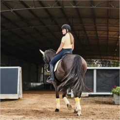 2023 Dublin Womens Kylee Short Sleeve Shirt II 10055250 - Butter Colour Butter -Dublin Sales 6112 9f83be1f911b2aa3b979a8569c535749.700x700